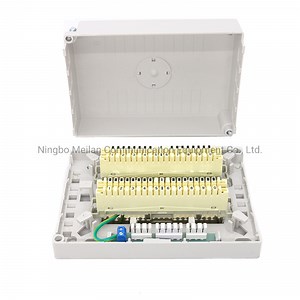 [Hot Item] 20 Pair Distribution Box with Krone Module