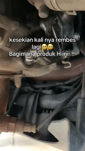 Stylo: Penggunaan selama 3 bulan