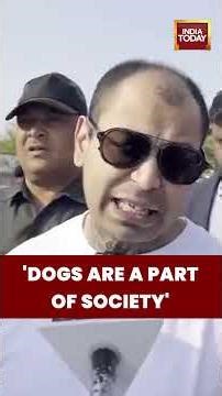 Prateek Yadav Urges Humane Approach on Street Dogs | Calls for Animal Birth Control Over Confinement