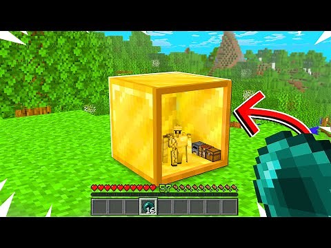 Minecraft But You Can Go Inside Any Block