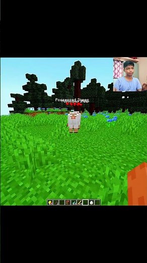 Minecraft Custom Swords