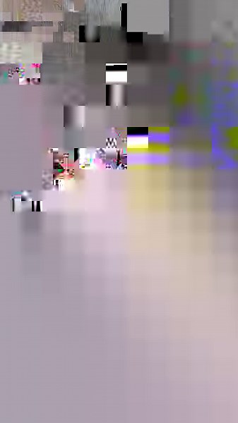 Peace and quiet? Never heard💥 | Now I've Seen Everything