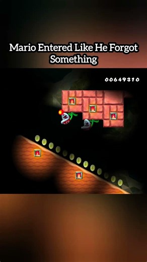 Mario collected and respectfully disappeared #mario #nintendo #retrogaming