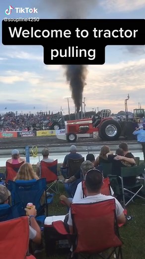 Alex Campbell on TikTok