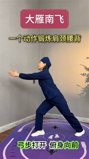 One movement of wild geese flying south exercises the shoulders neck waist and