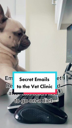 I’m just big boned #dogtyping #dogtexting #frenchielife #dogcomplaints #dogdiet #fyppets #tiktokdog #boopthesnoot #bigboned #bulldogpuppies #bigboned