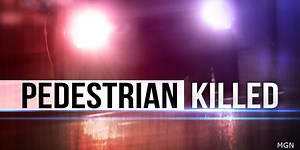 Pedestrian killed in Estill County crash