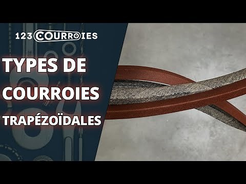Les principaux types de courroies trapézoïdales