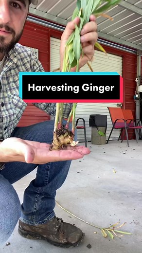 Farmer.Froberg on TikTok