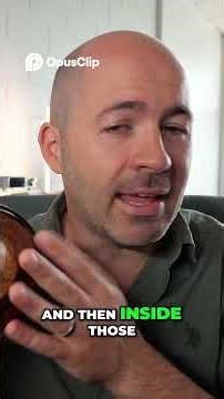 ZMF Ori 3.0 - Next Level Sound with New Tech