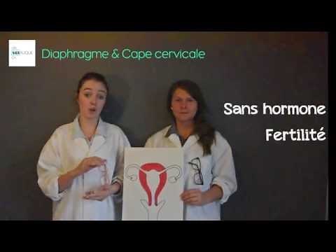 Diaphragme & Cape cervicale
