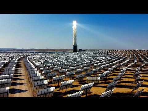 The Ivanpah Bird Massacre