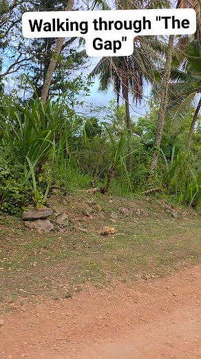 The Gap in Mangaia, connects Oneroa on the seaside to the villages above. The story that was shared was that the NZ army used explosives to create a gap in the rock, big enough to drive through. Look how thick the rock is! Just wow 🤩 #mangaia #cookislands #cookislandsliving #thegap | Cook Islands' Living