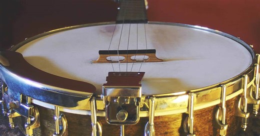 The Basics of Banjo Construction, Materials and Configurations