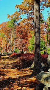 35 reactions | Fall has nearly arrived in Salem, New Hampshire! This is one of the best times to visit America's Stonehenge and tour an inspiring historic site set on one of southern New Hampshire's most scenic hilltops. #fall #autumn #fallfoliage #salem #salemnh #newhampshire #newengland #fallinnewengland #leafpeeping #historicsite #naturetrail #museum #outdoormuseum #americasstonehenge | America's Stonehenge | Facebook