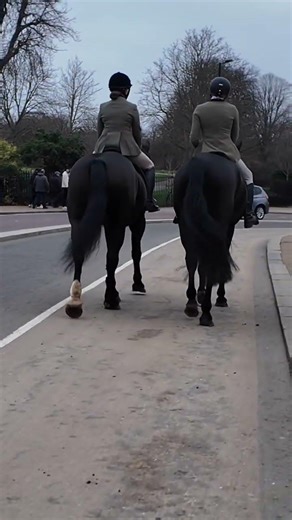 Professional horsemanship caught on camera #equestrian #horseriding #technique
