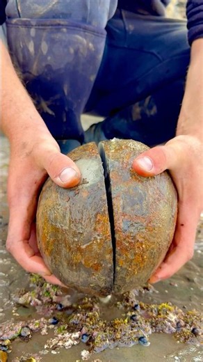 We hunted for Fossils and Iron Pyrite on a remote beach! We were lucky enough to find some specimens