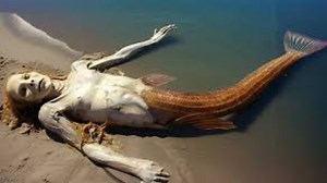 Mysterious Mermaids of the Amazon That Should Never Be Seen #mermaid #mermaids | Most Amazing Top 10