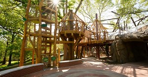 Primate Canopy Trails