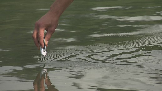 Is the North Saskatchewan River is clean enough to swim in?