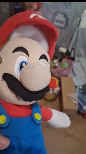 there is only 1 cat mario show