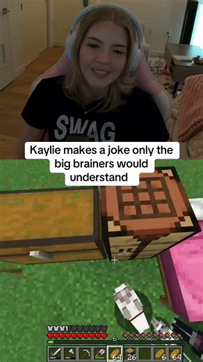 Double entendre joke😂😂 #funny #joke #epicgamer #bigbrain #minecraft