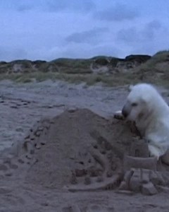 141K views · 3.1K reactions | 2002 vs. 2025 „Mensch“ akustisch - 19. September! | Herbert Grönemeyer | Facebook