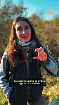 DELTA GRANDE: Monte Paloma 1