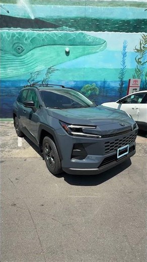 Do You Want an All-New 2026 Toyota RAV4 LE?
