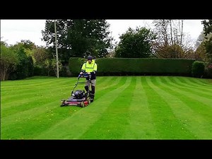Lovely LAWN STRIPING with the Toro Timemaster