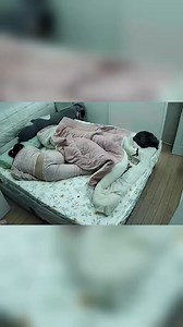 This dog is such a gentle dog 👏 #fyp #viral #dog | Peak Pick