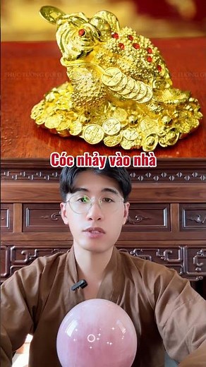 Cóc nhảy vào nhà là điềm báo gì