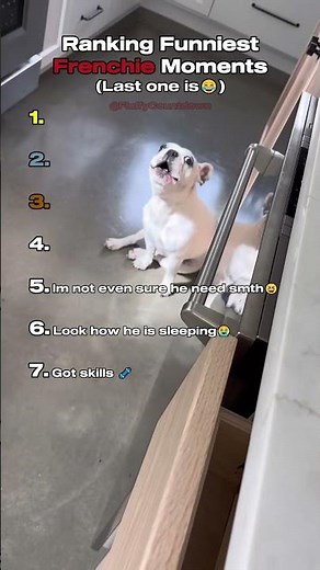 Top 7 Hilarious French Bulldog Moments!🐾❤️