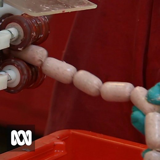 163K views · 37 reactions | CANE TOAD SAUSAGE RECIPE These stinking snags are being cooked up to help save native animals - by giving them a cautionary taste of the poisonous toad. | ABC Kimberley | Facebook