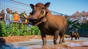 Planet Zoo has great poop physics, runaway animals, and loads of other good animal action