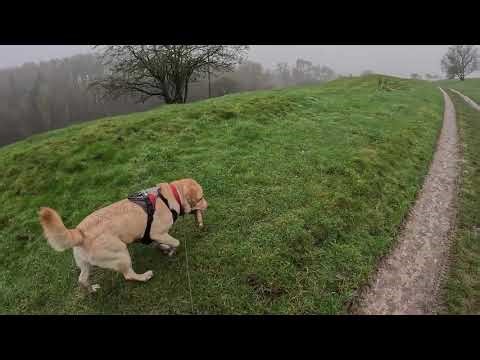 The Lost Village & The Ghost Line | Wharram Percy & The Malton-Driffield Railway | Day 4, Part 4