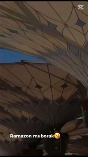 24 февраля 2026 г.