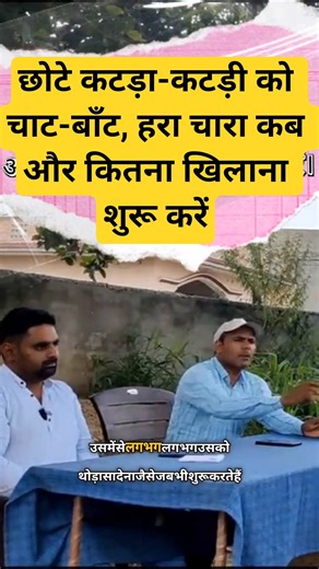 Calf feeding Schedule #cow #dairyfarm #livestockadvisor