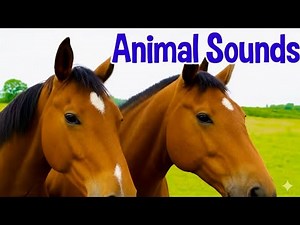 Animal Sounds for Children 🐴| 20 Amazing Animals to Learn 🐄| Names & Sounds for Toddlers