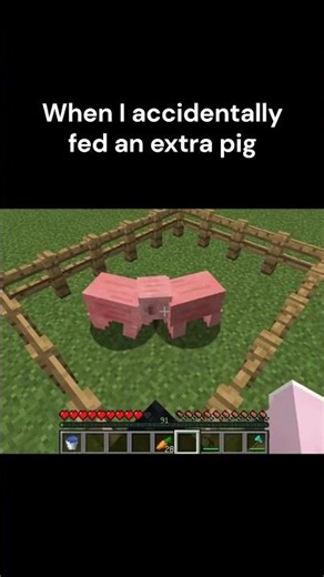 When I accidentally fed an extra pig #minecraft