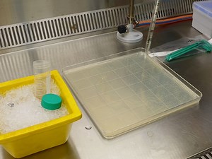 Multi-enzyme Screening Using a High-throughput Genetic Enzyme Screening System