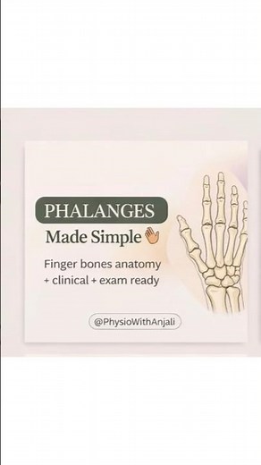 Phalanges Bones of Hand Explained in 30 Seconds | Anatomy Made Easy