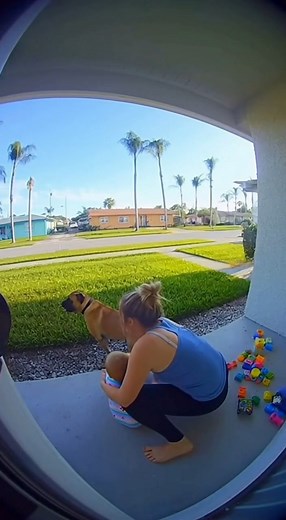 146K views · 154 reactions | Check this out!  | Riddle Me This | Facebook