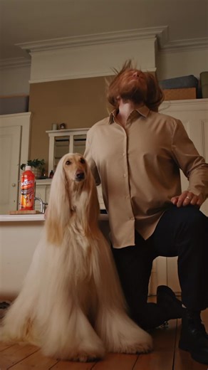 Clogged drain keeping you from reaching pawfection? Stock up on Mr Muscle so nothing stops your flow  | Mr Muscle | Facebook