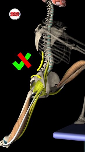 Muscle and Motion on Instagram: "Common mistake when stretching your hip flexor muscles⛔ First of all, why should you stretch these muscles❓ Hip flexion muscle shortness can be caused by prolonged sitting. If you're a student, office worker, driver, or almost any other profession, you're probably sitting for quite a few hours a day. Shortened muscles cannot generate as much power as lengthened muscles, which can lead to functional problems such as; anterior pelvic tilt and lumbar hyperlordosis.