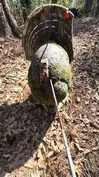 Day 44 first time shooting 3D #archery #compoundbow