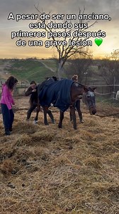 71K views · 2.6K reactions | ¡Los primeros pasos de Nogal desde que...