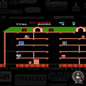 Mappy was produced by Namco in 1983. You are a mouse in a house of burglar-cats intent on recovering their stolen loot. You get from floor to floor by jumping on trampolines. Various doors are your only defense against the cats. The design was created by Namco and licensed to Bally Midway, who built it. You control Mappy, the "Micro Police,” a police-mouse whose job is to collect valuables from a cat's house one has to surmise that he is retrieving stolen goods. In hot pursuit of our hero is a g