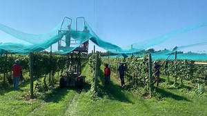 1.7K views · 23 reactions | Terhune Orchards on Reels | Facebook