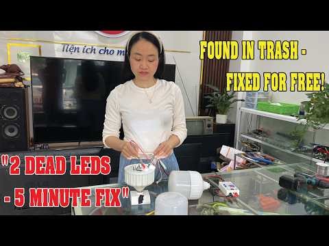 Found Broken LED Bulbs Behind My House | Girl Fixes Them for FREE in Minutes!